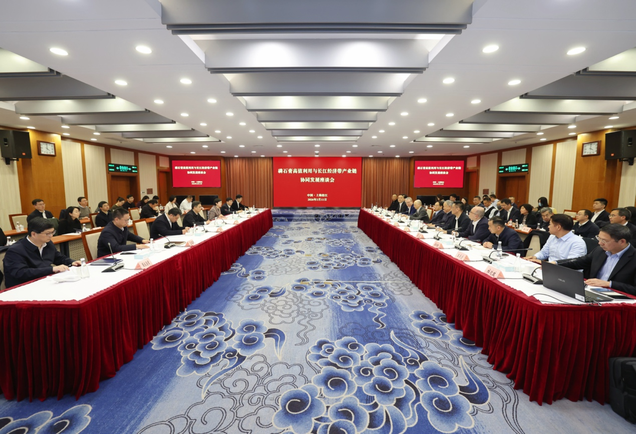 磷石膏&ldquo;变废为宝&rdquo;，绿色包装迎来新机遇&mdash;&mdash;陈德军董事长在磷石膏高值利用座谈会上的分享